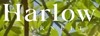 HARLOW Logo