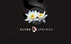 CLYDE SPRINGS Logo