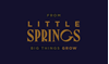 LITTLE SPRINGS Logo